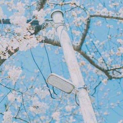 betway88必威东盟体育