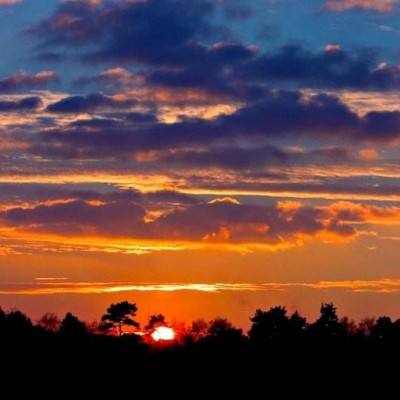 开云(中国)Kaiyun截图